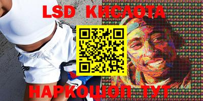 тгк Бердск