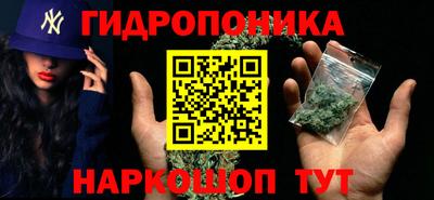 тгк Бердск
