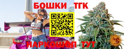 тгк Бердск