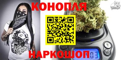 тгк Бердск