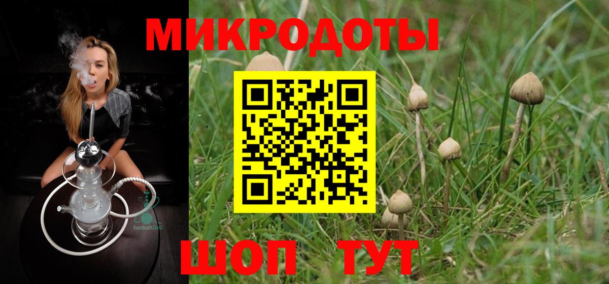 Губаха  Галлюциногенные грибы GOLDEN TEACHER  Вход с VPN 
